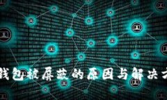 比特币钱包被屏蔽的原因与解决方法解析