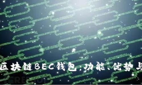 全面解析区块链BEC钱包：功能、优势与使用指南