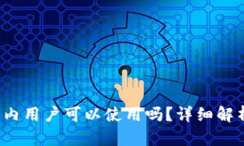 TPWallet：国内用户可以使用吗？详细解析与使用指南