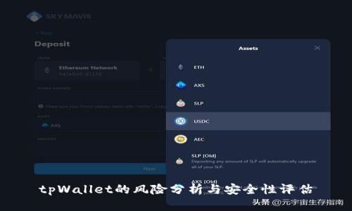 tpWallet的风险分析与安全性评估