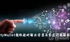 tpWallet转账超时解决方案与常见问题解析