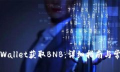 如何使用tpWallet获取BNB：详细指南与常见问题解答