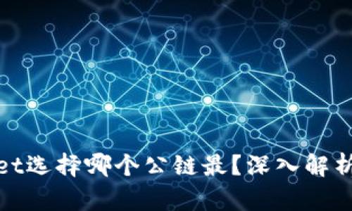 tpWallet选择哪个公链最？深入解析与建议