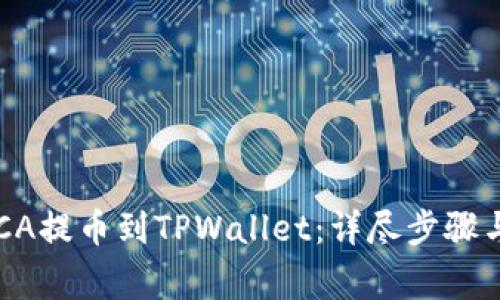 如何将RACA提币到TPWallet：详尽步骤与注意事项