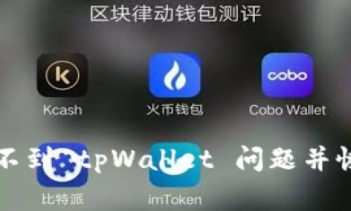 如何解决找不到 tpWallet 问题并恢复正常使用