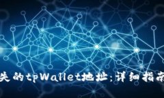 如何找回丢失的tpWallet地址：详细指南与解决方案