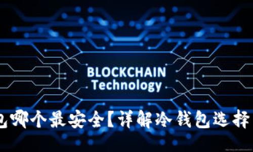 题目  
USDT冷钱包哪个最安全？详解冷钱包选择与使用攻略