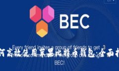 如何高效使用苹果比特币钱包：全面指南