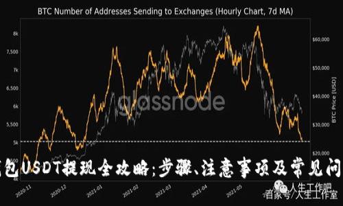 波宝钱包USDT提现全攻略：步骤、注意事项及常见问题解答