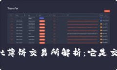 tpWallet薄饼交易所解析：它是交易所吗？