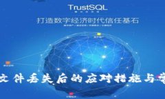 比特币钱包文件丢失后的应对措施与常见问题解