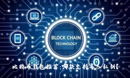 比特币钱包推荐：哪款支持导入私钥？