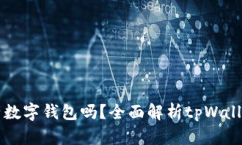 tpWallet是国产数字钱包吗？全面解析tpWallet的来源与特点