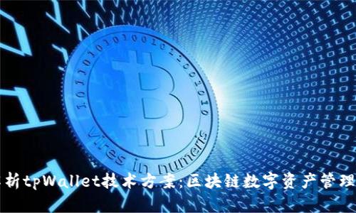 全面解析tpWallet技术方案：区块链数字资产管理的未来