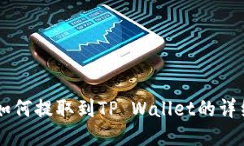 SD币如何提取到TP Wallet的详细指南