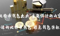 以下是为“比特币钱包太大”主题设计的内容结