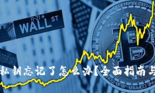 tpWallet私钥忘记了怎么办？全面指南与解决方案