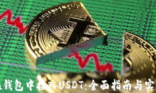 
如何在钱包中接入USDT：全面指南与实用建议