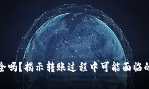 tpWallet转账安全吗？揭示转账过程中可能面临的风险与防范措施