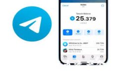 解决tpWallet不显示代币资产金额的详细指南