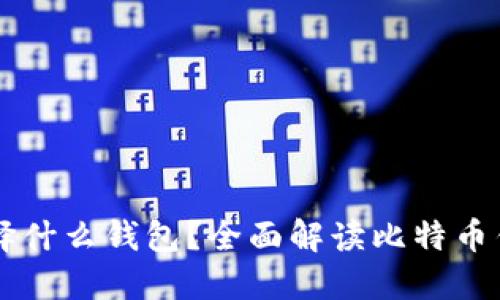 买比特币时该选择什么钱包？全面解读比特币钱包的选择与使用