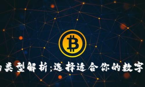 区块链钱包的类型解析：选择适合你的数字货币存储方案
