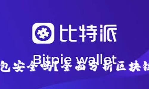 s block区块链钱包安全吗？全面分析区块链钱包的潜在风险