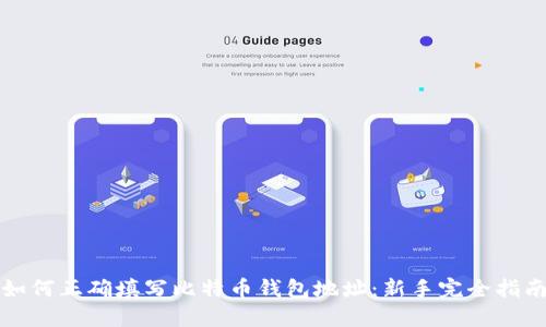 如何正确填写比特币钱包地址：新手完全指南