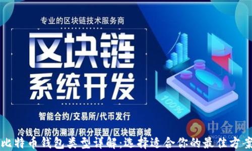 
比特币钱包类型详解：选择适合你的最佳方案