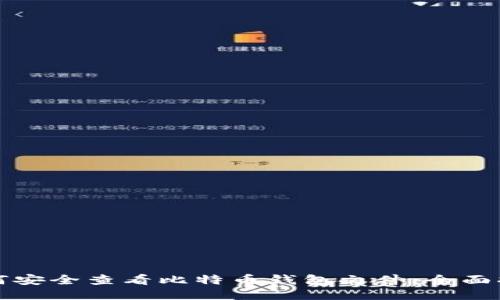 如何安全查看比特币钱包文件：全面指南