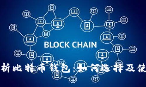 全面解析比特币钱包：如何选择及使用技巧