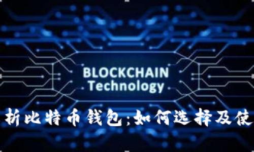 全面解析比特币钱包：如何选择及使用技巧
