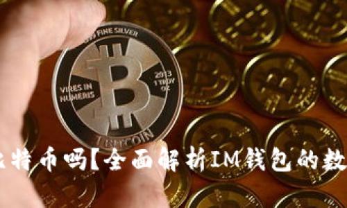 IM钱包可以存比特币吗？全面解析IM钱包的数字货币存储功能