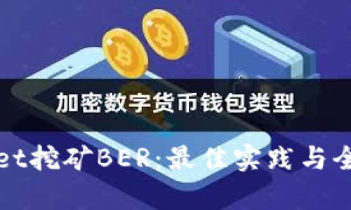 tpWallet挖矿BER：最佳实践与全面指南
