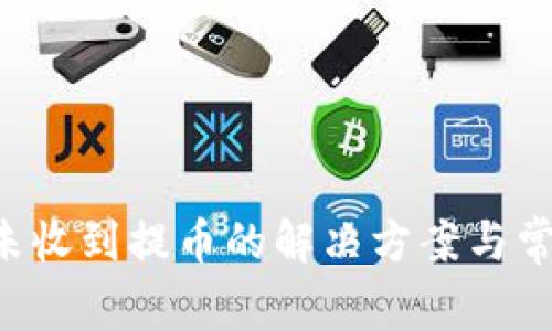  tpWallet未收到提币的解决方案与常见问题解答