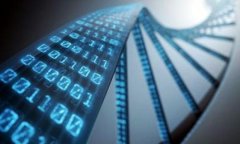 解决比特币钱包安装卡住