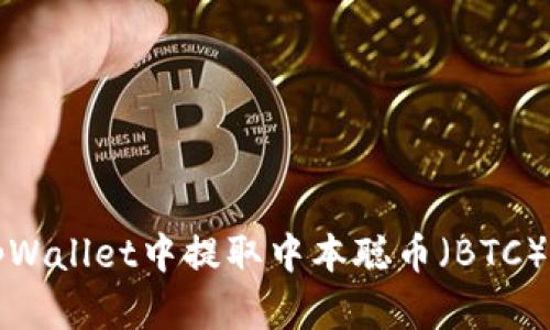 :如何在tpWallet中提取中本聪币（BTC）：详细指南