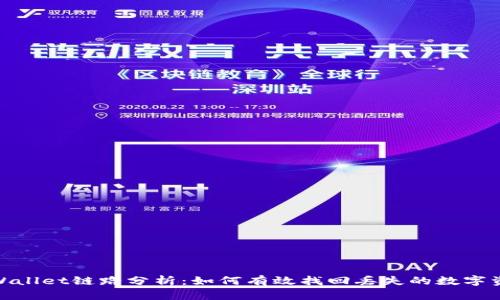  tpWallet链路分析：如何有效找回丢失的数字资产 