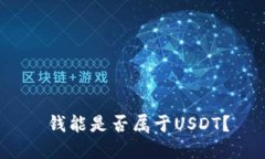 钱能是否属于USDT？