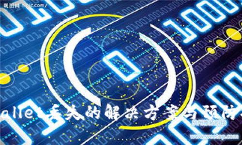 tpWallet丢失的解决方案与预防措施